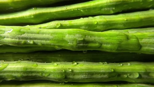Drumsticks - Moringa - Close up Shot - Rightwards