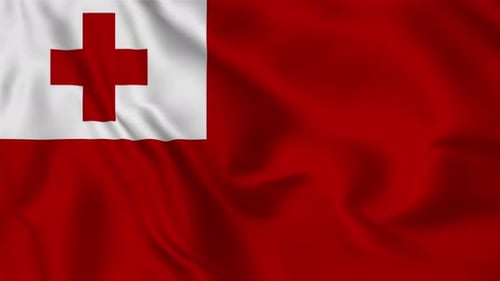 Tonga Waving Flag Background