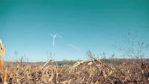 Rural Boy rennt den Berg auf einem Kornfeld und überwindet Hindernisse