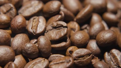 Close Up of Roasted Coffee Beans