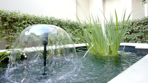 Water bubbling from fountain, surrounded by lush plants