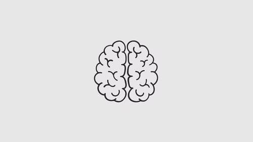 Minimalist Line Art Brain Outline Drawing Animation