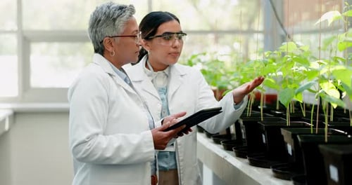 Scientist, plant and teamwork of women in greenhouse research of mentor