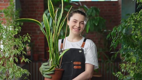 Running of Own Business Young Woman Florist Holding Plant in Pot Wearing Apron in Botanical Store