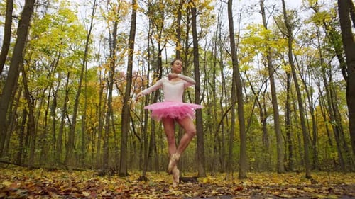 Elegant Ballerina Dancing En Pointe in Autumn Forest