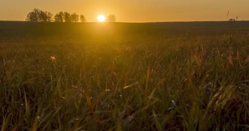 Flat Hill Meadow Timelapse at the Summer Sunset Time