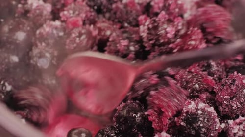 Berries Blended with Sugar for Cooking