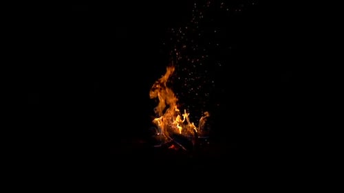 Lagerfeuer mit Funken und Glut in Zeitlupe in der Nacht