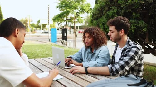 Collaborative multi-ethnic students working together on laptop in park setting