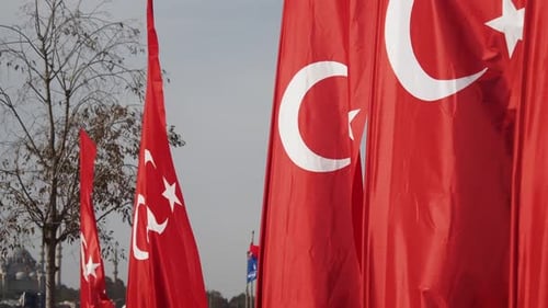 Row of Turkish Flags Waving in the City