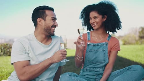 Champagne, toast and couple on picnic in nature, happy and relax in a park for romantic date