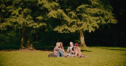 Friends Sitting On Grass During Picnic At Park