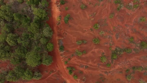 Aerial view of red soil and lush vegetation, Greece.