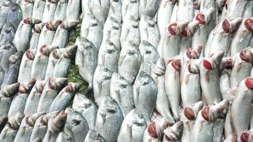 Frischer Fisch im Eis im lokalen Marktladen