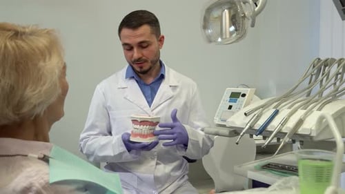 Dentist Explains Procedure to Patient Using Teeth Model