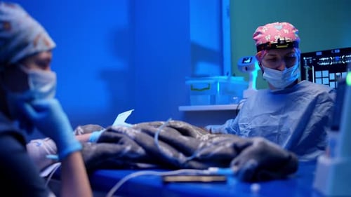 Surgeons Working in Operating Room Under Blue Light