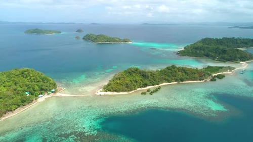 Aerial View of a Tropical Island with Palm Trees and White Sand Beaches Amazing Tropical Island in