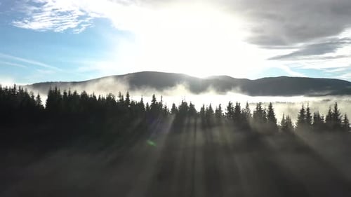 Slow Motion Flying Above Clouds. Aerial View of Sunrise, Misty Morning and Forest in the Mountains
