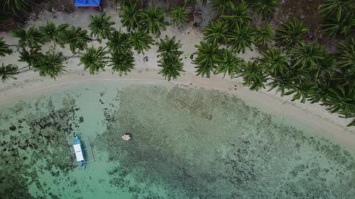 Top View of Lagoon with Beach and Palm Trees Philippines Palawan