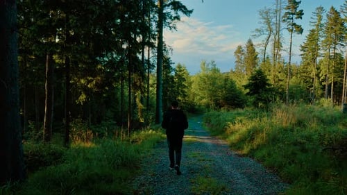 Backpacker Walking Down Forest Path in Sunny Weather Explorer Hiking Through Treelined Trail Under