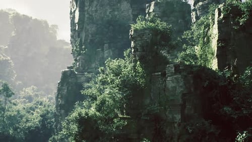 Overhanging Mossy Cliff Face with Vibrant Ferns and Moody Lighting Conditions