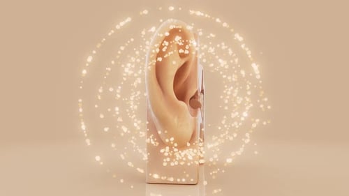 Detailed Human Ear Anatomy Animation with Sound Wave Transmission