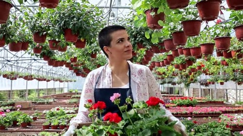 Female florists walking in greenhouse working with flowers and preparing orders.