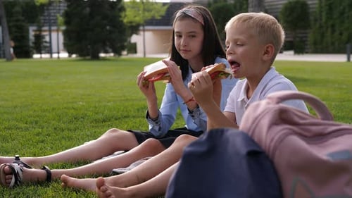 Classmates Eat Sandwiches Together in the School Yard Sitting on the Green Grass