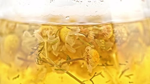 Chamomile Tea Brewing in Glass Kettle, Close Up