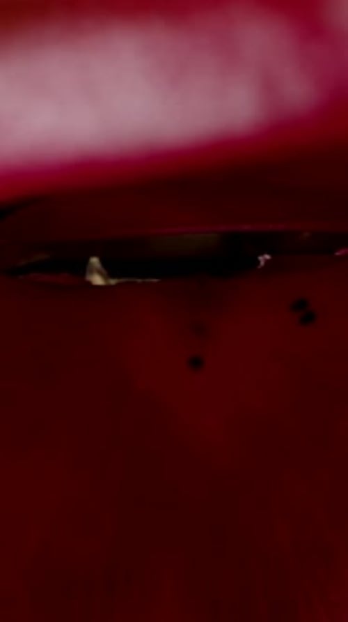 Vertical video. The camera captures macro shots inside the eaten and fleshless Pitahaya or Dragon.