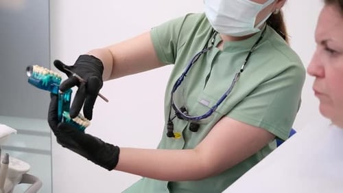 Dental Professional Explains Treatment Using Teeth Model