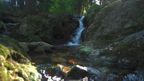 Beautiful Small Waterfall