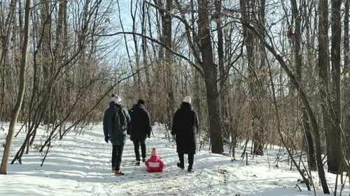 Join Us for an Exhilarating Winter Wonderland Adventure Filled with Sledding and Friends Galore