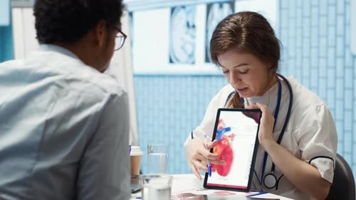 Doctor Explains Human Heart Diagram to Patient