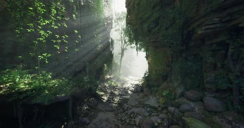 Sunlight Filtering Through a Lush Canyon in a Dense Forest Landscape
