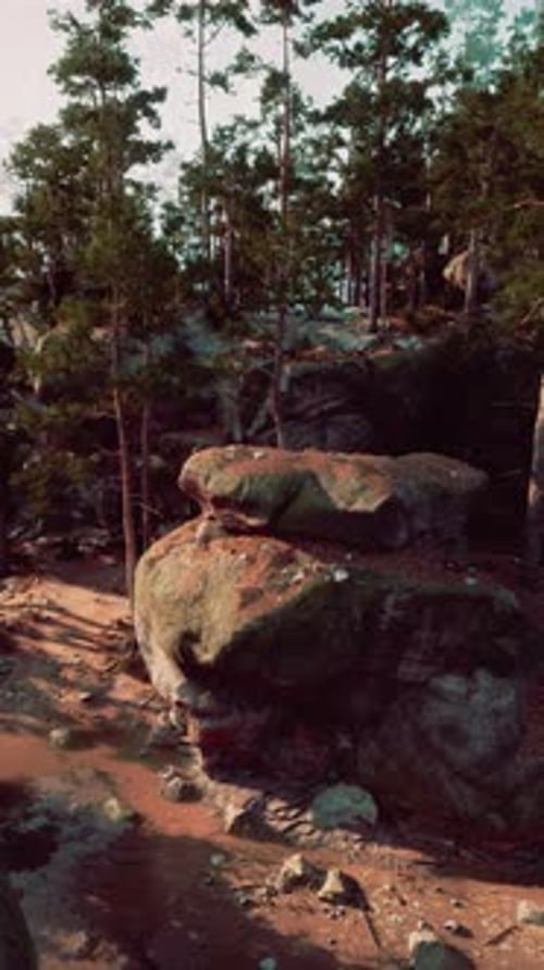 Group of Large Rocks in Forest