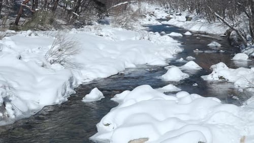 Winding Mountain River in a Snow Capped Forest in Winter