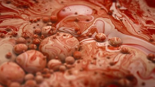 Beautiful red and white colored paint bubbles flowing in liquid