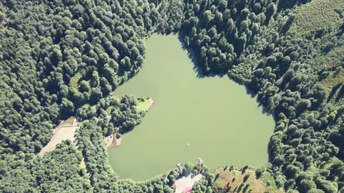 Aerial View of Heart-Shaped Lake in Lush Forest