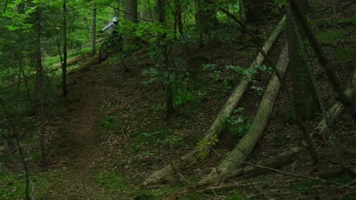 A mountain biker rides down a steep forest