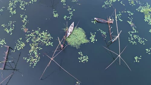 Aerial View of Fishermen in Lily Pad Covered Lake