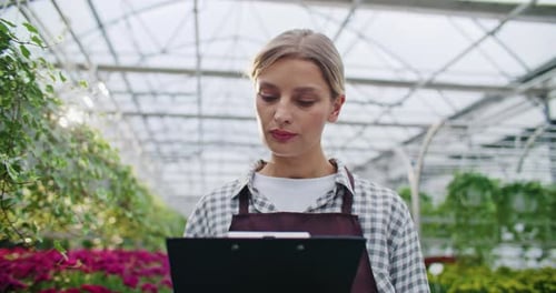 Belle femme caucasienne marchant au milieu d'une serre tout en vérifiant la quantité de plantes prêtes