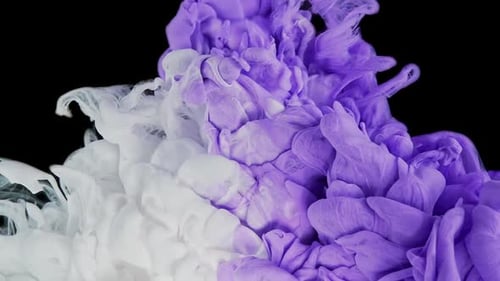 Abstract Elegance Purple Lilac and White Colors Blend in Ink Flow