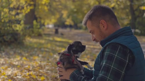 A Happy Man is Playing with a Dog in the Park on a Walk