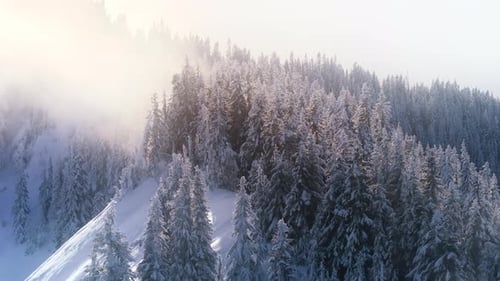 Winterliche alpine Naturlandschaft bei Sonnenaufgang, frostige Bäume in sonnigen Wolken