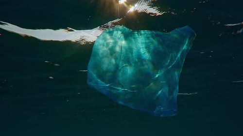 Vista inferior de una vieja bolsa de plástico azul transparente que flotaba sobre la superficie del agua reflejada en ella