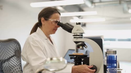 Scientist Works with Microscope in Modern Laboratory