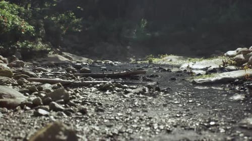 Exploration d'un ruisseau rocheux à Madagascar à la lumière du petit matin