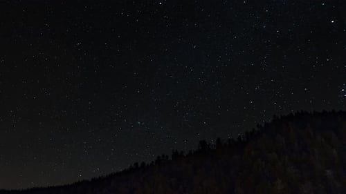 Nightlapse in mountain with trees with stars and clouds