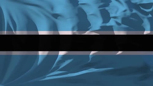 Fluid Wavy Flag Animation Background with White and Black Stripes